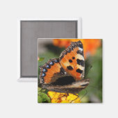 Butterfly Magnet Magneet (Voorkant / Achterkant)