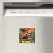 Butterfly Magnet Magneet (Insitu (Vaatwasser))