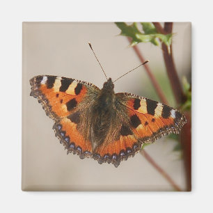 Butterfly Magnet Magneet