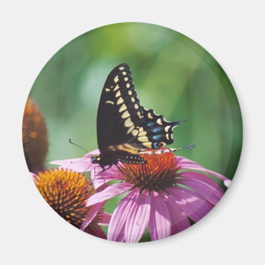 Butterfly Magnet Magneet (Voorkant)