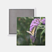 Butterfly magnet magneet (Voorkant / Achterkant)