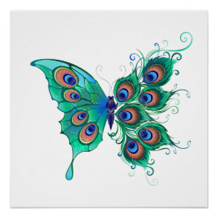Butterfly met Green Peacock Feathers Perfect Poster