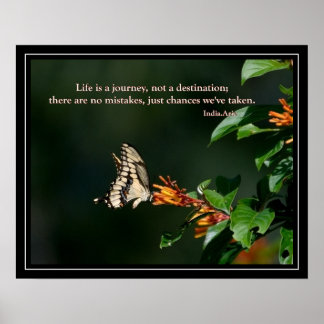 Butterfly met India Arie citaat Poster