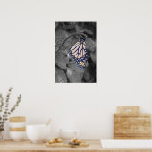Butterfly met steile kleur poster (Keuken)