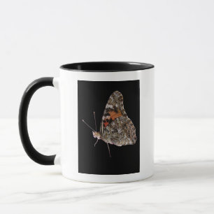 Butterfly Mok