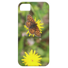 Butterfly - Mooi!