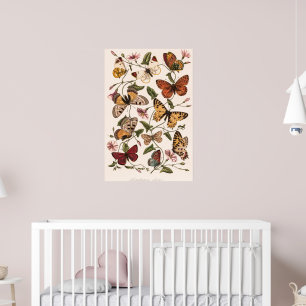 Butterfly & Moth beroemd gemaakt door Paul Gervais Poster