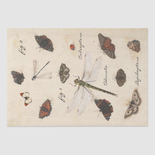 Butterfly Moth Dragonfly Ladybug Insect Parchment Tissuepapier (Voorkant)