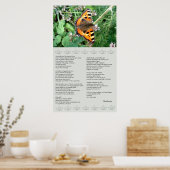 Butterfly Motivatie Desiderata Poster (Keuken)