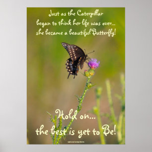 Butterfly Motivatie Inspirerend Foto Poster