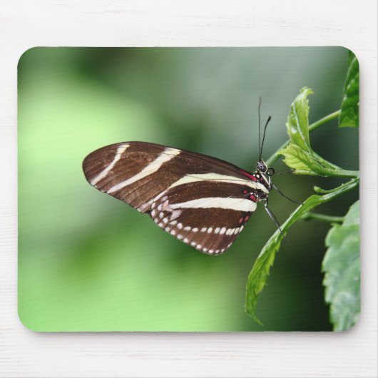 Butterfly Mousepad Muismat (Voorkant)