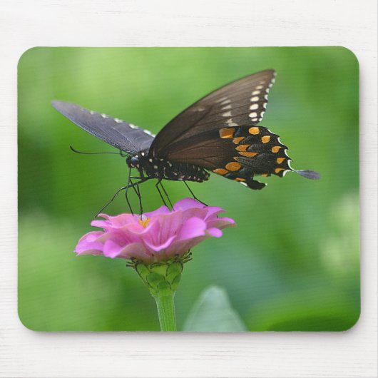 Butterfly Mousepad Muismat (Voorkant)