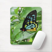 Butterfly Mousepad! Muismat (Met muis)
