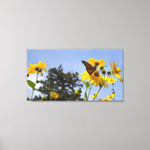 Butterfly N Sunflower Wrapping Canvas