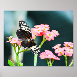 Butterfly Natuur Insecten Roze Bloemen Poster