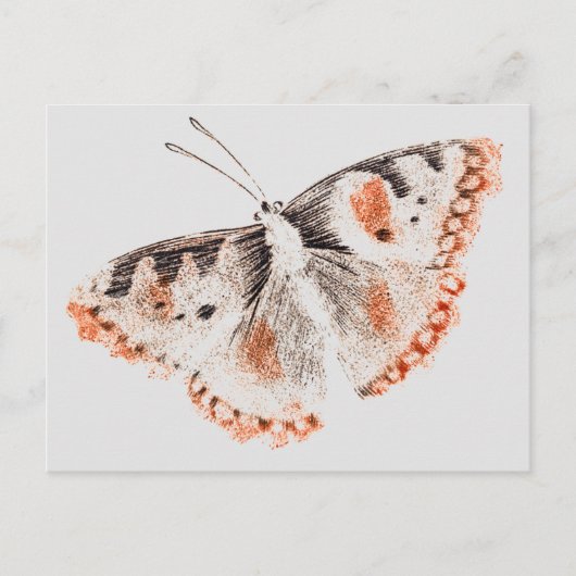  Butterfly Old Illustration Briefkaart (Voorkant)