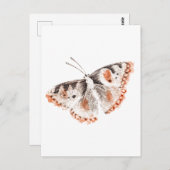 Butterfly Old Illustration Briefkaart (Voorkant / Achterkant)