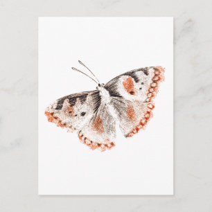 Butterfly Old Illustration Briefkaart
