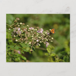 Butterfly on a flower briefkaart