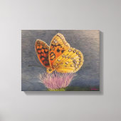 Butterfly on a Thistle Canvas Afdruk (Voorkant)
