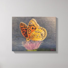 Butterfly on a Thistle Canvas Afdruk