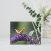 Butterfly on Butterfly Struik Blossom Briefkaart (Staand voorkant)