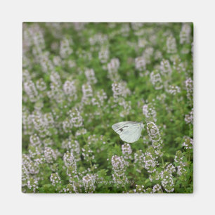 Butterfly on Creeping Thyme Magneet