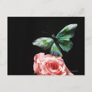 Butterfly on flower briefkaart