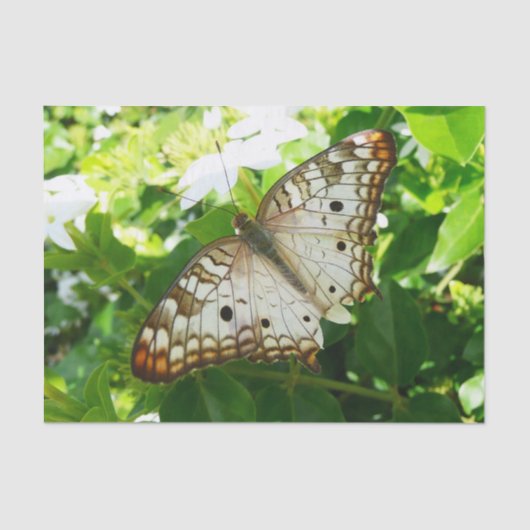Butterfly on Jasmine Tropical Natuur Photography Tissuepapier (Voorkant)