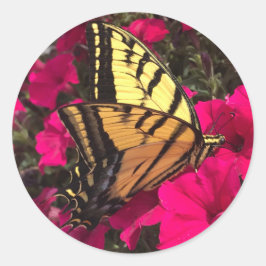Butterfly on Pink Petunia Flowers Springtime Ronde Sticker