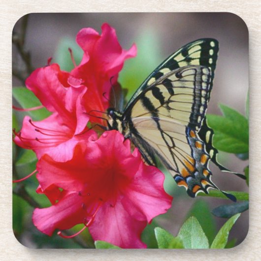 Butterfly on roze Flowers Onderzetter set (Voorkant)