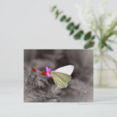 Butterfly on roze ventilator briefkaart (Staand voorkant)