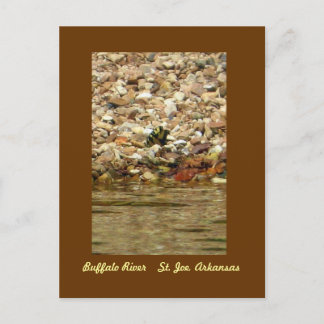 Butterfly on the Buffalo Briefkaart