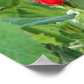 Butterfly on Wildfllowers, Scripture Verse Poster (Coin)