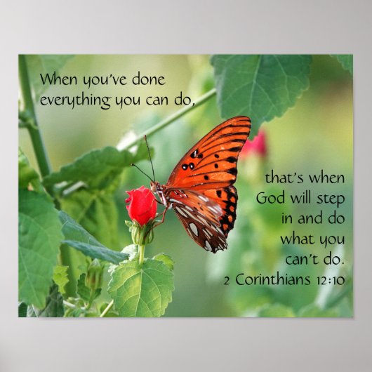 Butterfly on Wildfllowers, Scripture Verse Poster (Devant)