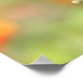 Butterfly on Wildfllowers, Scriptversie Verse Poster (Hoek)