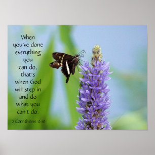 Butterfly on Wildfllowers, Scriptversie Verse Poster