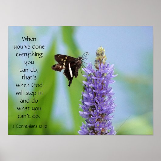 Butterfly on Wildfllowers, Scriptversie Verse Poster (Voorkant)