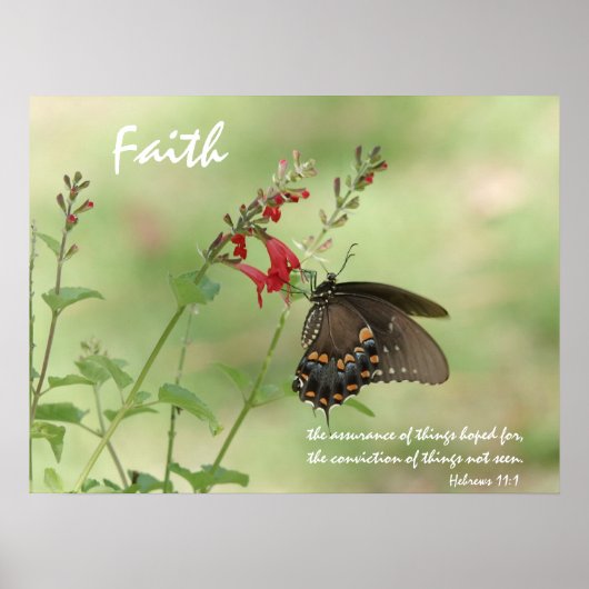 Butterfly on Wildflower, Scriptversie op geloof Poster (Voorkant)