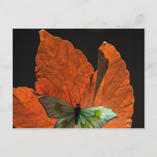 Butterfly op blad 2 briefkaart