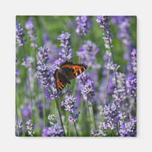 Butterfly op Lavender Fridge Magnet Magneet