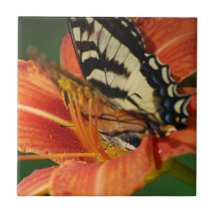 Butterfly op Lily Tegeltje