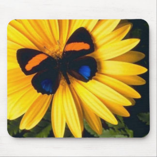 Butterfly op Yellow Daisy Muismat
