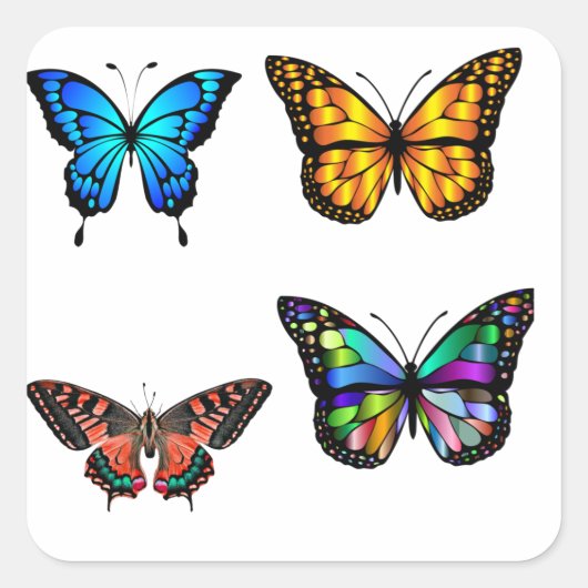 butterfly pack vierkante sticker (Voorkant)