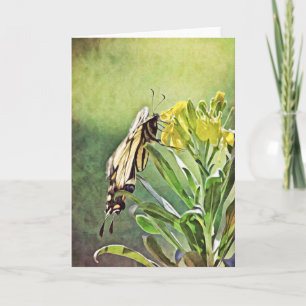 Butterfly Painting Scripting Kaart 1 Peter 5:6-7