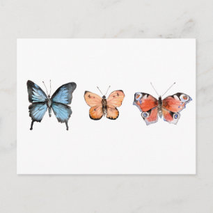 Butterfly Pattern Briefkaart