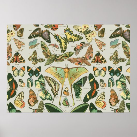 Butterfly Pattern Butterflies Painting Poster (Voorkant)