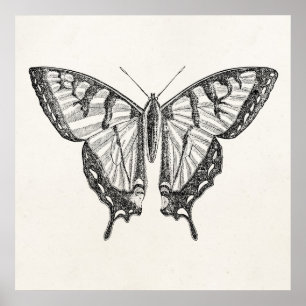  Butterfly persoonlijke Butterflies Insect Poster