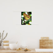 Butterfly Posing Close Poster (Keuken)