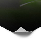 Butterfly Poster (Hoek)